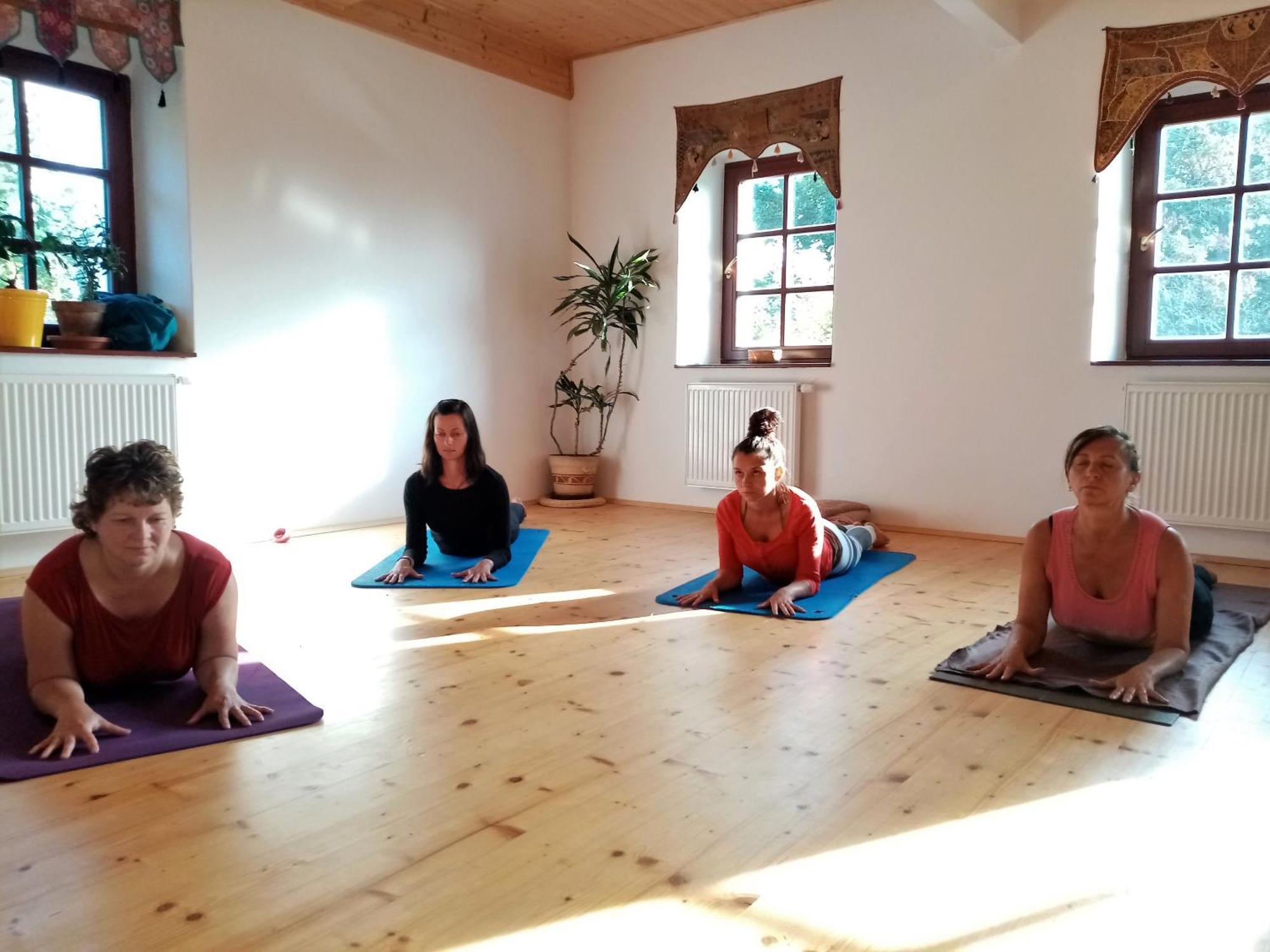 Yogashrama Traditional Ústí nad Orlicí Εξωτερικό φωτογραφία